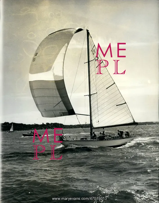 : Boat Racing : Boat Racing
