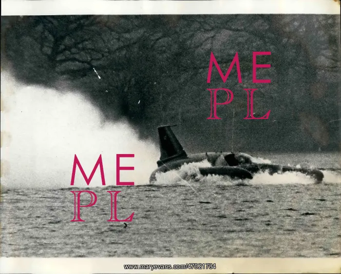 : Boat Racing : Boat Racing