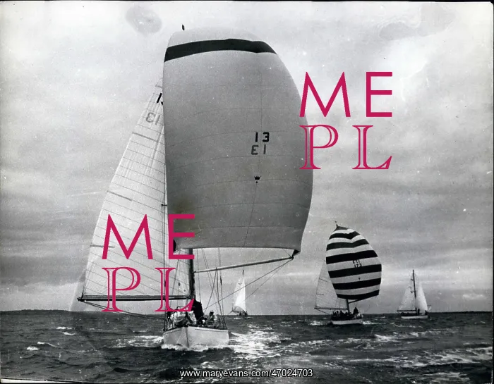 : Boat Racing : Boat Racing
