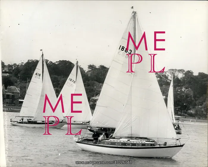 : Boat Racing : Boat Racing