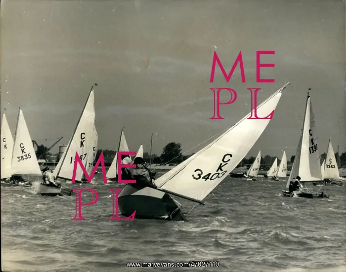 : Boat Racing : Boat Racing