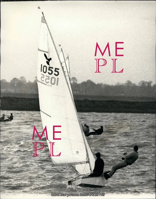 : Boat Racing : Boat Racing