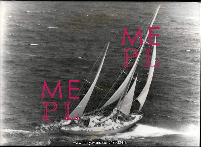 : Boat Racing : Boat Racing