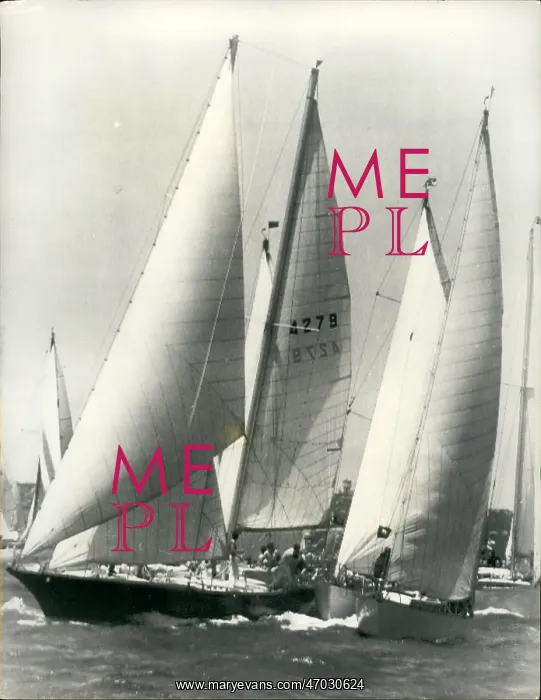 : Boat Racing : Boat Racing