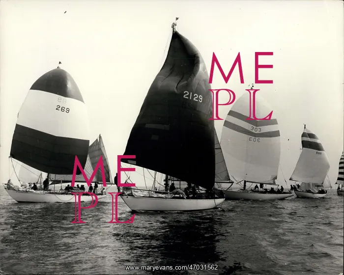 : Boat Racing : Boat Racing