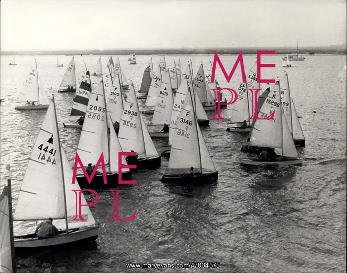 : Boat Racing : Boat Racing