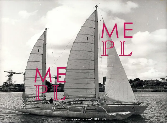 : Boat Racing : Boat Racing