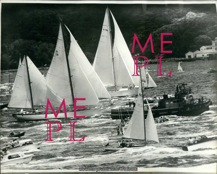 : Boat Racing : Boat Racing