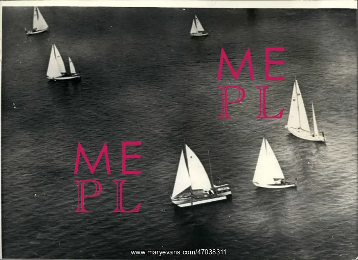: Boat Racing : Boat Racing