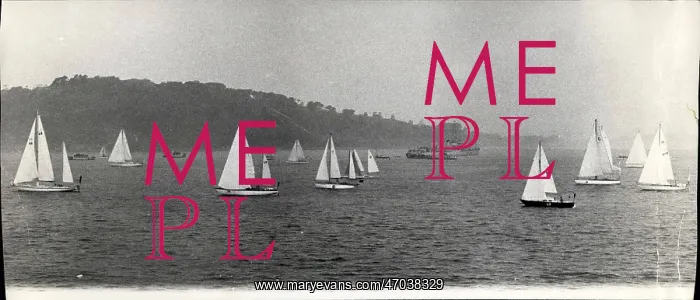 : Boat Racing : Boat Racing