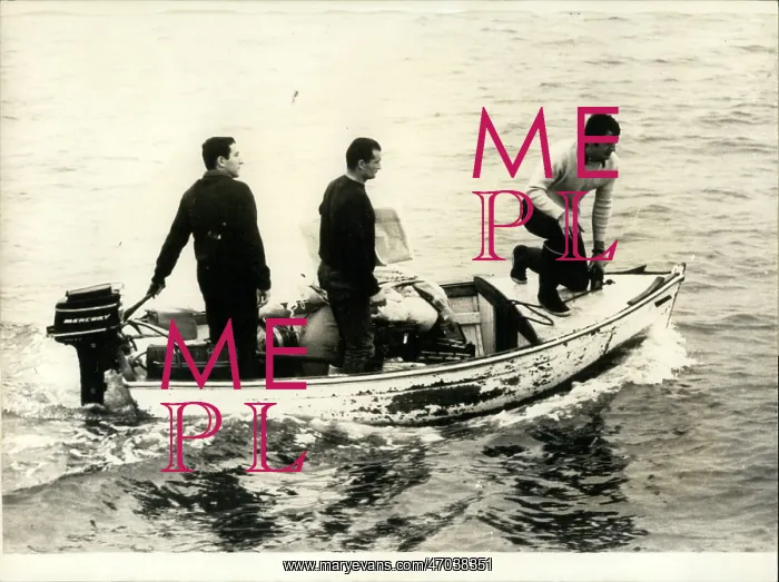 : Boat Racing : Boat Racing