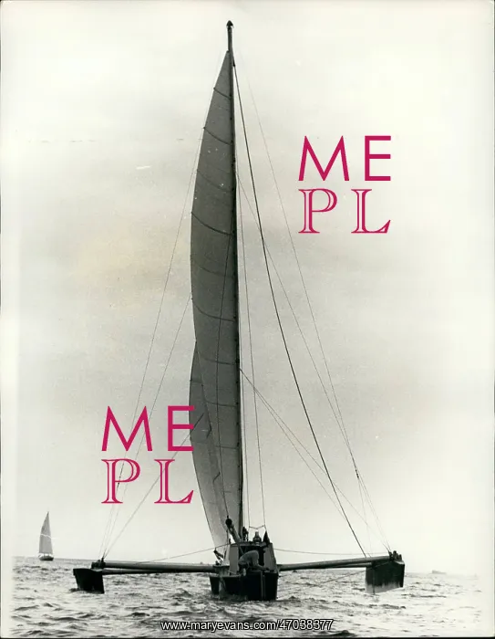 : Boat Racing : Boat Racing