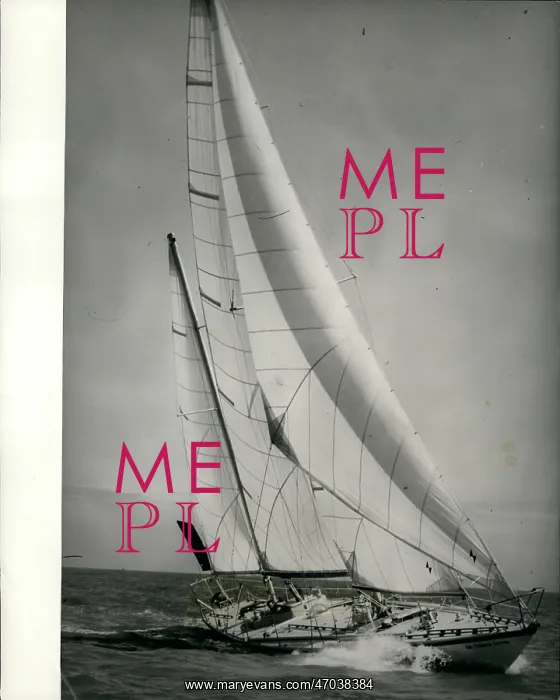 : Boat Racing : Boat Racing