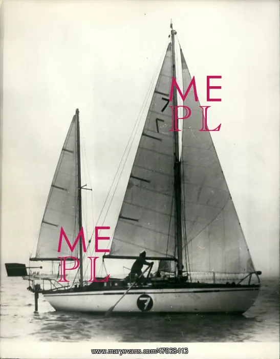 : Boat Racing : Boat Racing