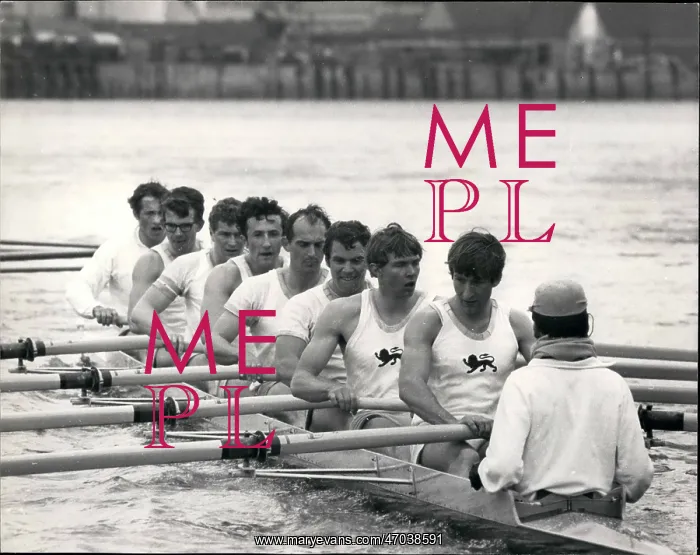 : Boat Racing : Boat Racing