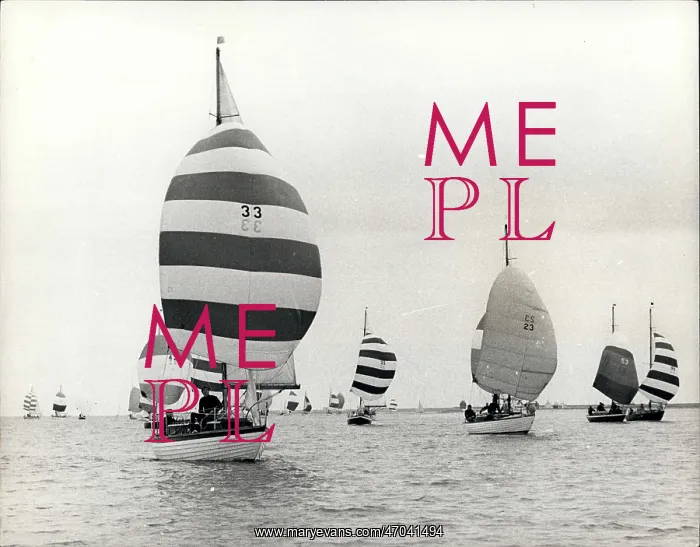 : Boat Racing : Boat Racing