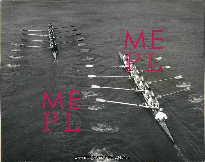 : Boat Racing : Boat Racing