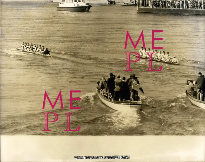 : Boat Racing : Boat Racing