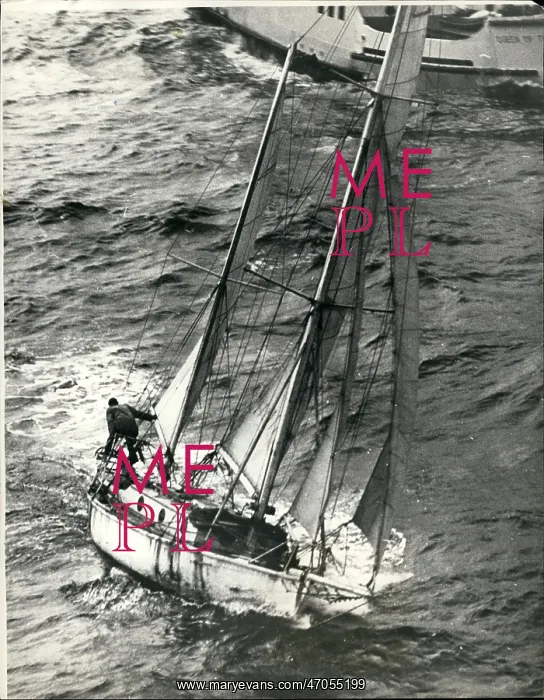 : Boat Racing : Boat Racing
