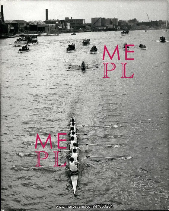 : Boat Racing : Boat Racing