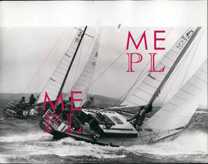 : Boat Racing : Boat Racing