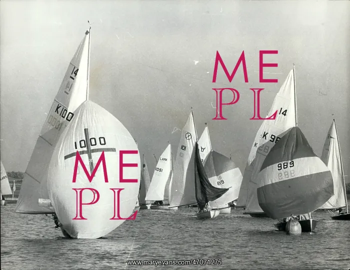 : Boat Racing : Boat Racing