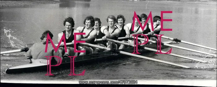 : Boat Racing : Boat Racing