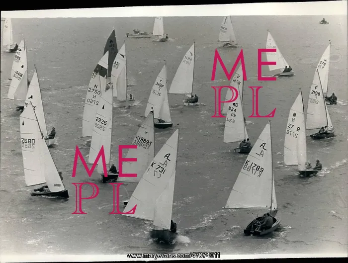 : Boat Racing : Boat Racing