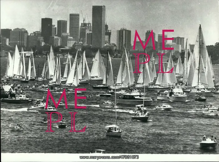 : Boat Racing : Boat Racing