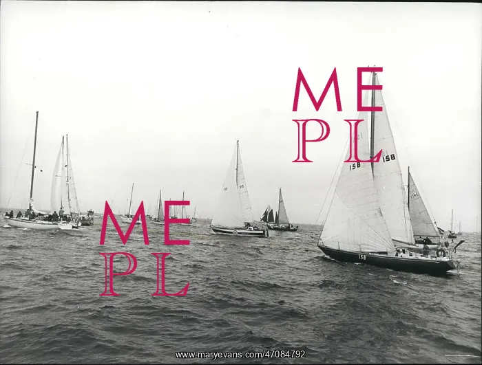 : Boat Racing : Boat Racing