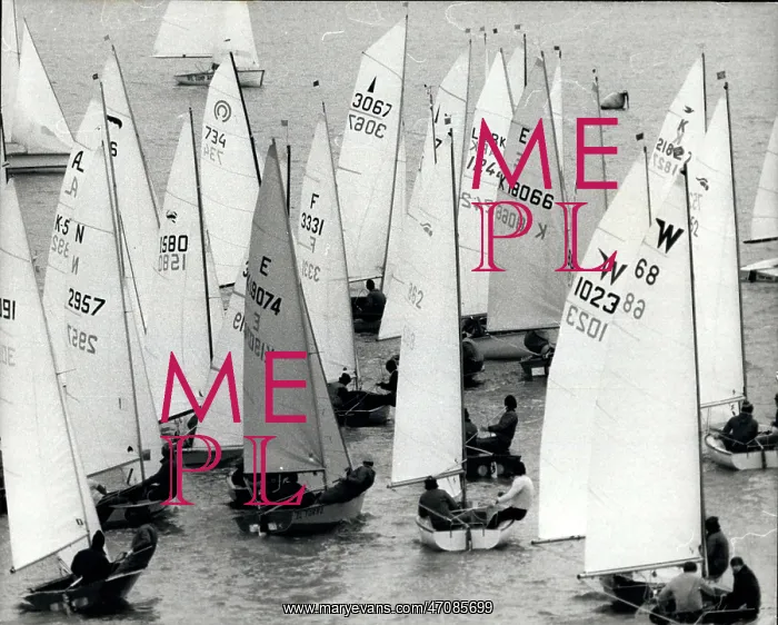 : Boat Racing : Boat Racing