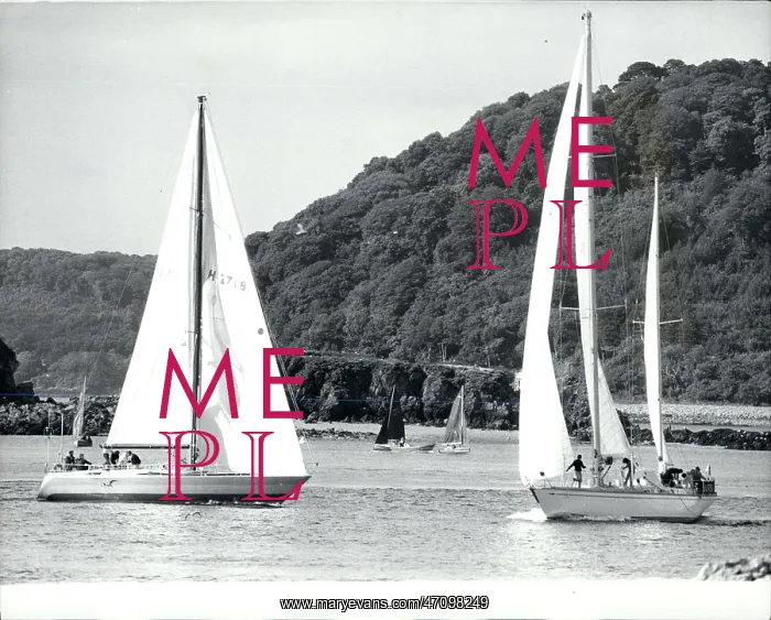 : Boat Racing : Boat Racing