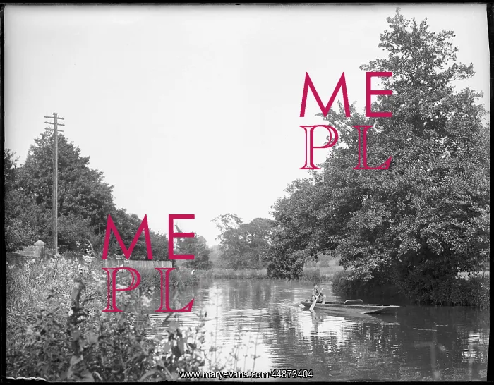 : BOAT ON THE RIVER WEY : BOAT ON THE RIVER WEY