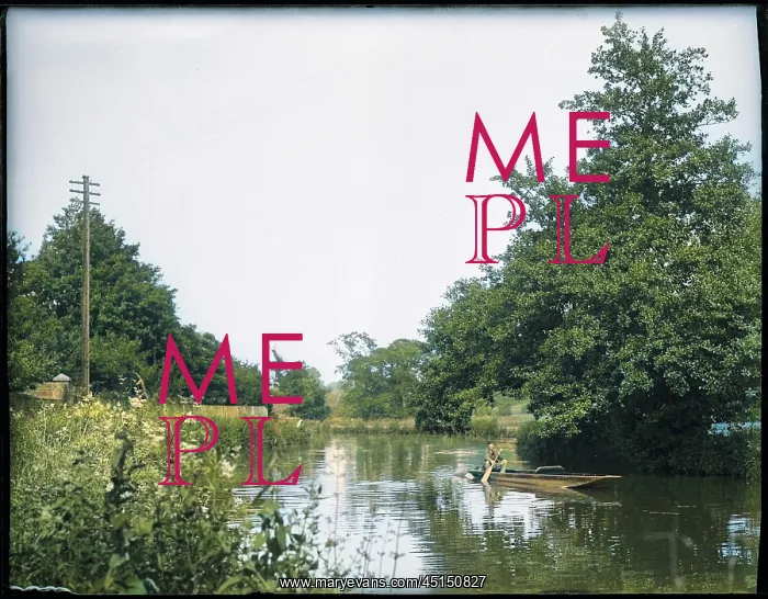 : BOAT ON THE RIVER WEY : BOAT ON THE RIVER WEY