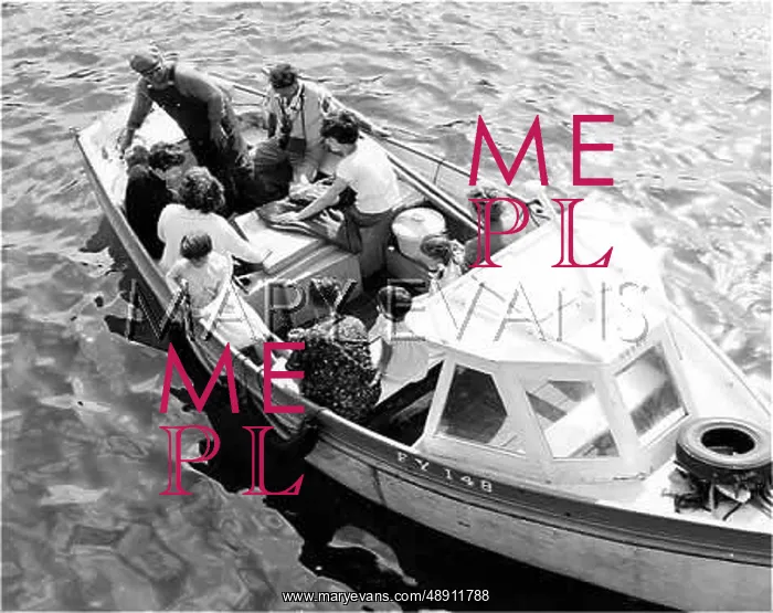 : BOAT TRIP. A boat of holiday makers and day trippers