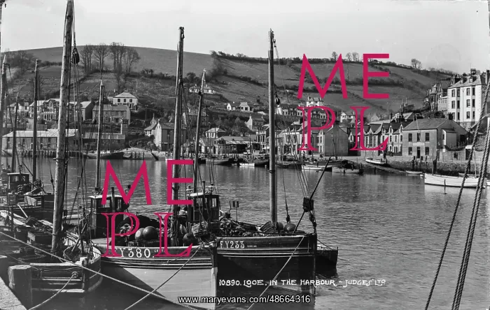 : Boats in the Harbour : Boats in the Harbour