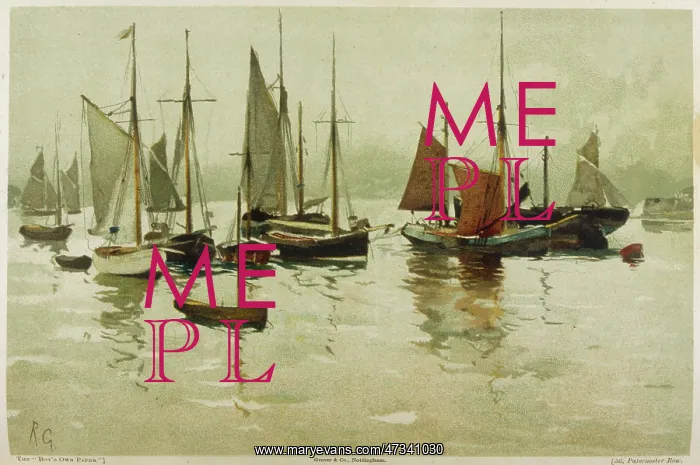  : BOATS AT IPSWICH
