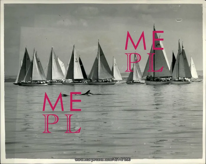 : Boats - Sailing - Ships : Boats - Sailing - Ships