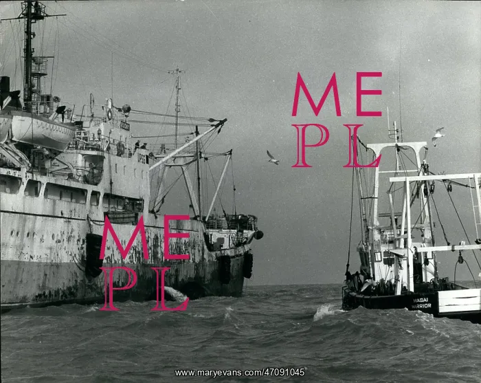 : Boats - Sailing - Ships : Boats - Sailing - Ships