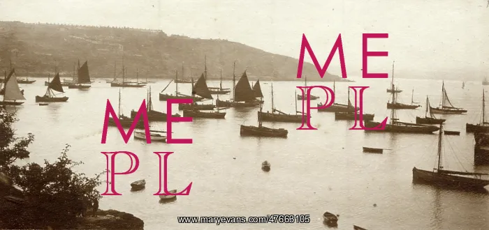  : Boats in the shallows at Torquay, Devon
