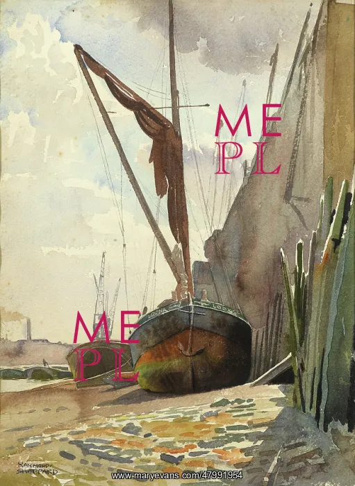 : Boats on shore : Boats on shore