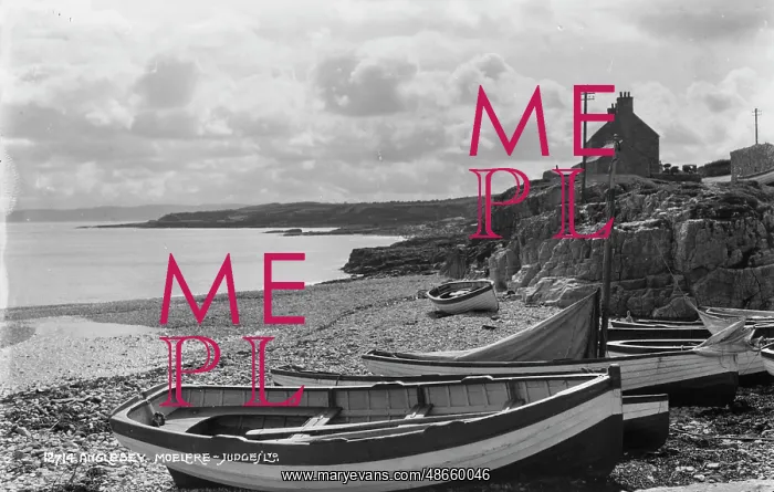 : Boats on the Shore : Boats on the Shore