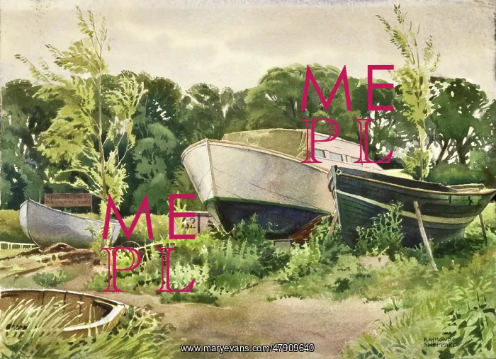 : Boats out of the water : Boats out of the water
