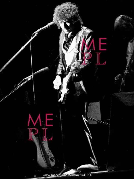 : Bob Dylan performing at The Pavilion, Paris : Bob Dylan performing at The Pavilion, Paris