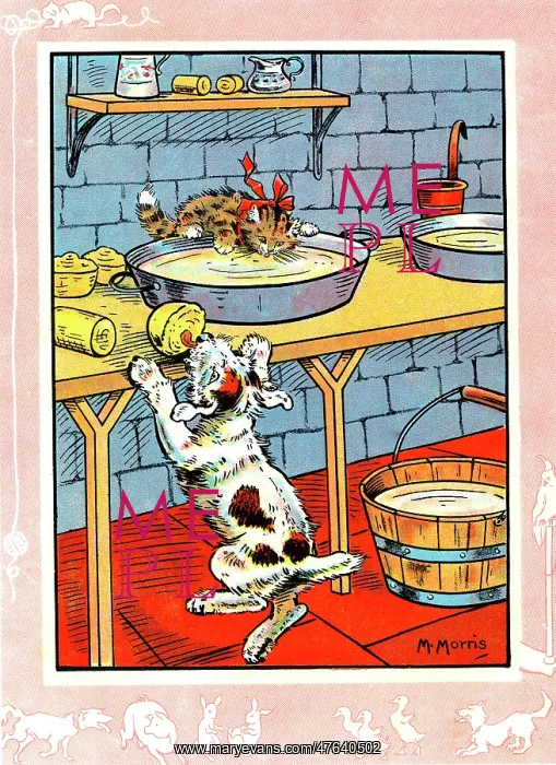: Bobby the dog and Fluff the cat in the dairy : Bobby the dog and Fluff the cat in the dairy