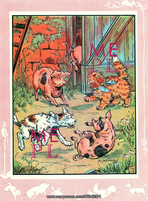 : Bobby the dog and Fluff the cat with piglets : Bobby the dog and Fluff the cat with piglets