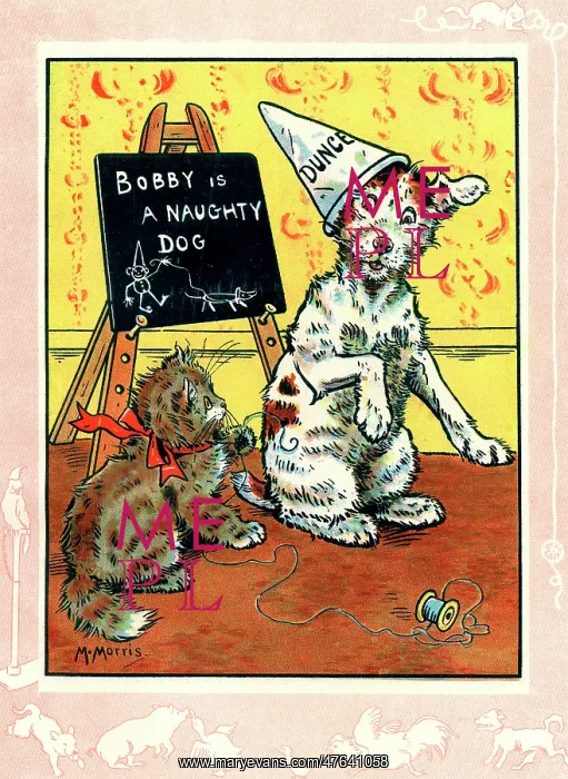 : Bobby the dog wearing a dunce's cap : Bobby the dog wearing a dunce's cap