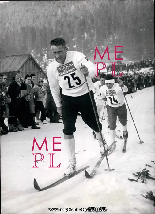 : Bobsledding - Skating - Skiing - Figure Skating : Bobsledding - Skating - Skiing - Figure Skating