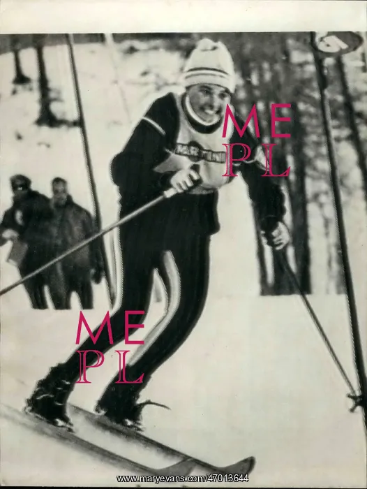 : Bobsledding - Skating - Skiing - Figure Skating : Bobsledding - Skating - Skiing - Figure Skating
