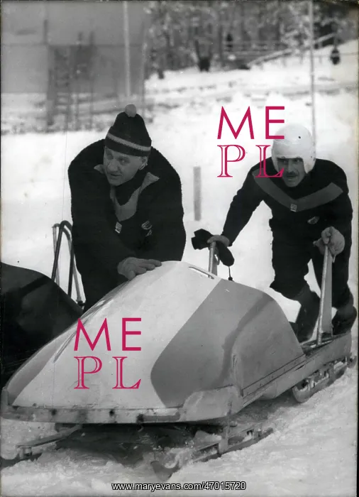 : Bobsledding - Skating - Skiing - Figure Skating : Bobsledding - Skating - Skiing - Figure Skating